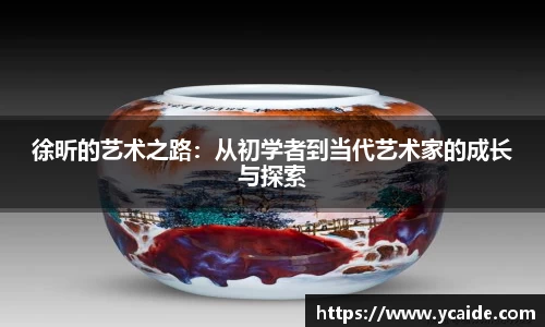徐昕的艺术之路：从初学者到当代艺术家的成长与探索
