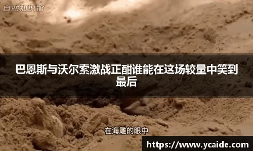 芒果体育