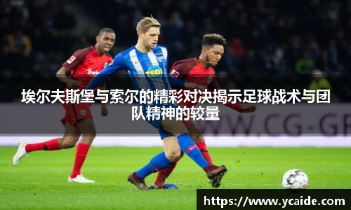 芒果体育