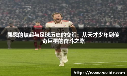 芒果体育