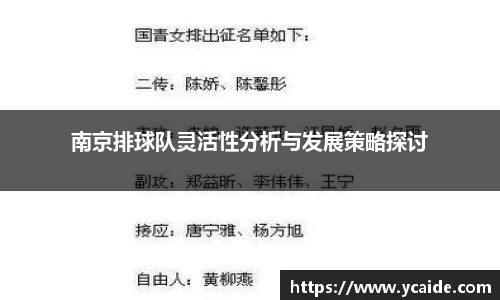 南京排球队灵活性分析与发展策略探讨